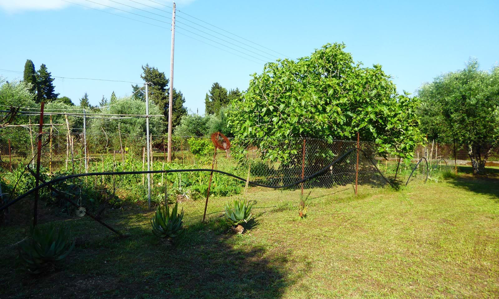 Listing photograph 10 of 21 of the house in Poulades, published by Corfu Home Finders.