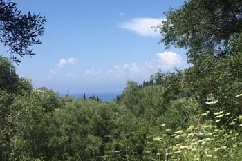 Image for property: 12581