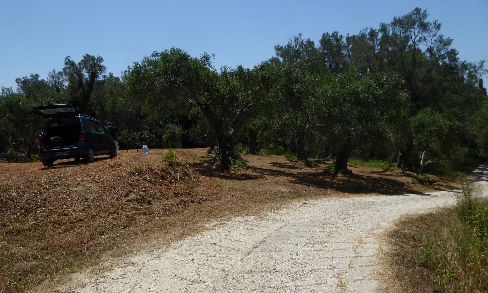 Listing photograph 7 of 7 of the land in Gardelades, published by Corfu Home Finders.