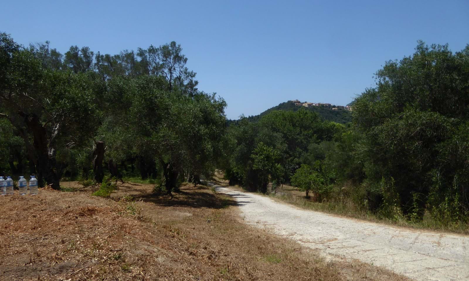 Listing photograph 4 of 7 of the land in Gardelades, published by Corfu Home Finders.