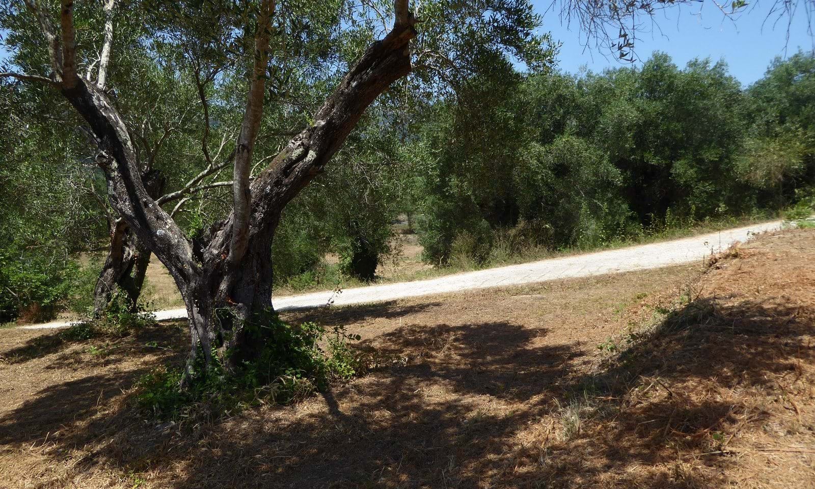 Listing photograph 3 of 7 of the land in Gardelades, published by Corfu Home Finders.