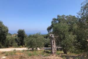 ELENA'S LAND, nr Manadendri, Paxos