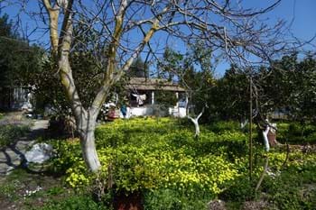 Image for property: 12606