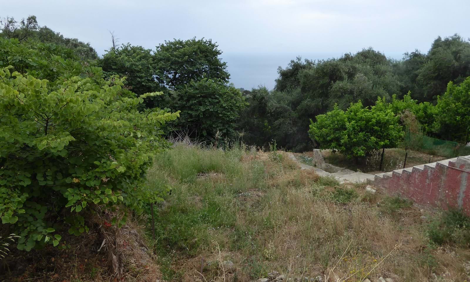 Listing photograph 3 of 11 of the house in Lakones, published by Corfu Home Finders.