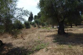 Image for property: 12612