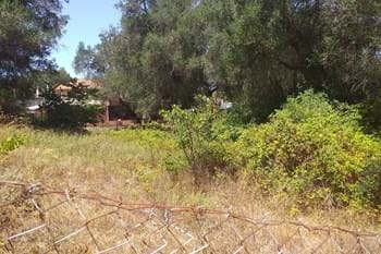 Image for property: 12618
