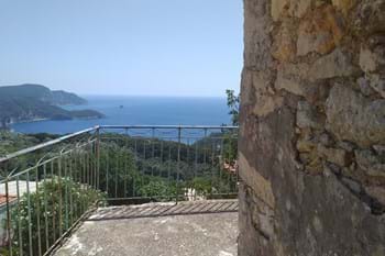 Image for property: 12619