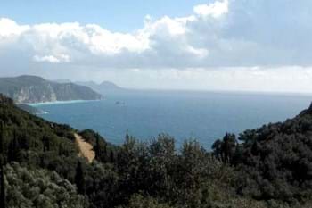 Image for property: 12626