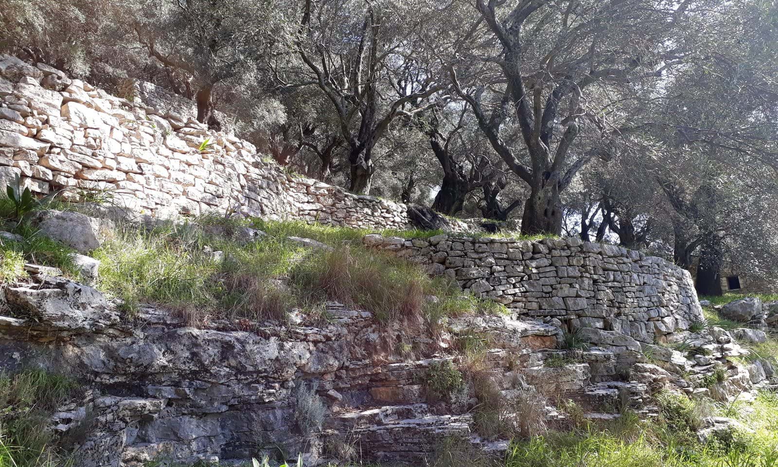 Listing photograph 7 of 7 of the land in Katavolos, published by Corfu Home Finders.