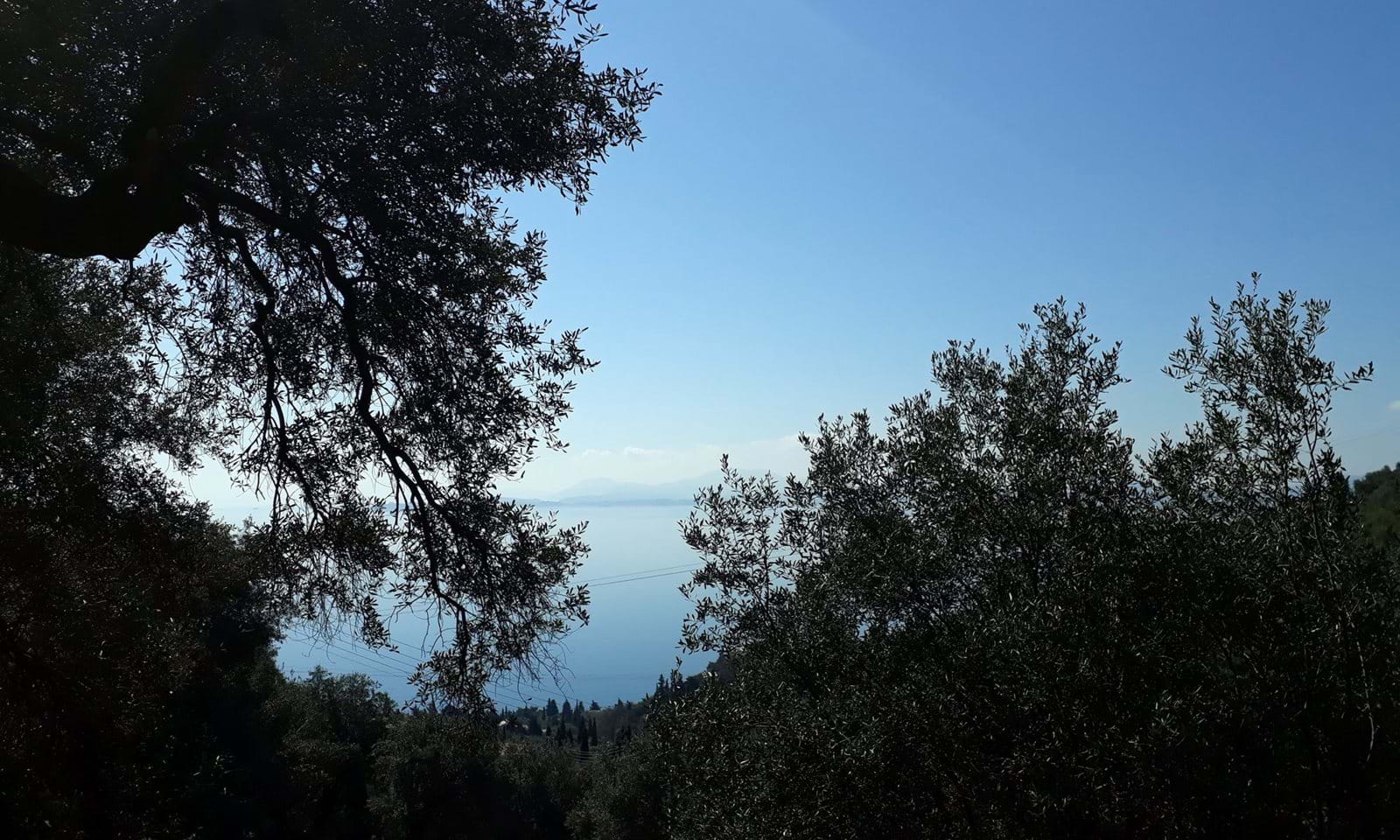 Listing photograph 3 of 7 of the land in Katavolos, published by Corfu Home Finders.