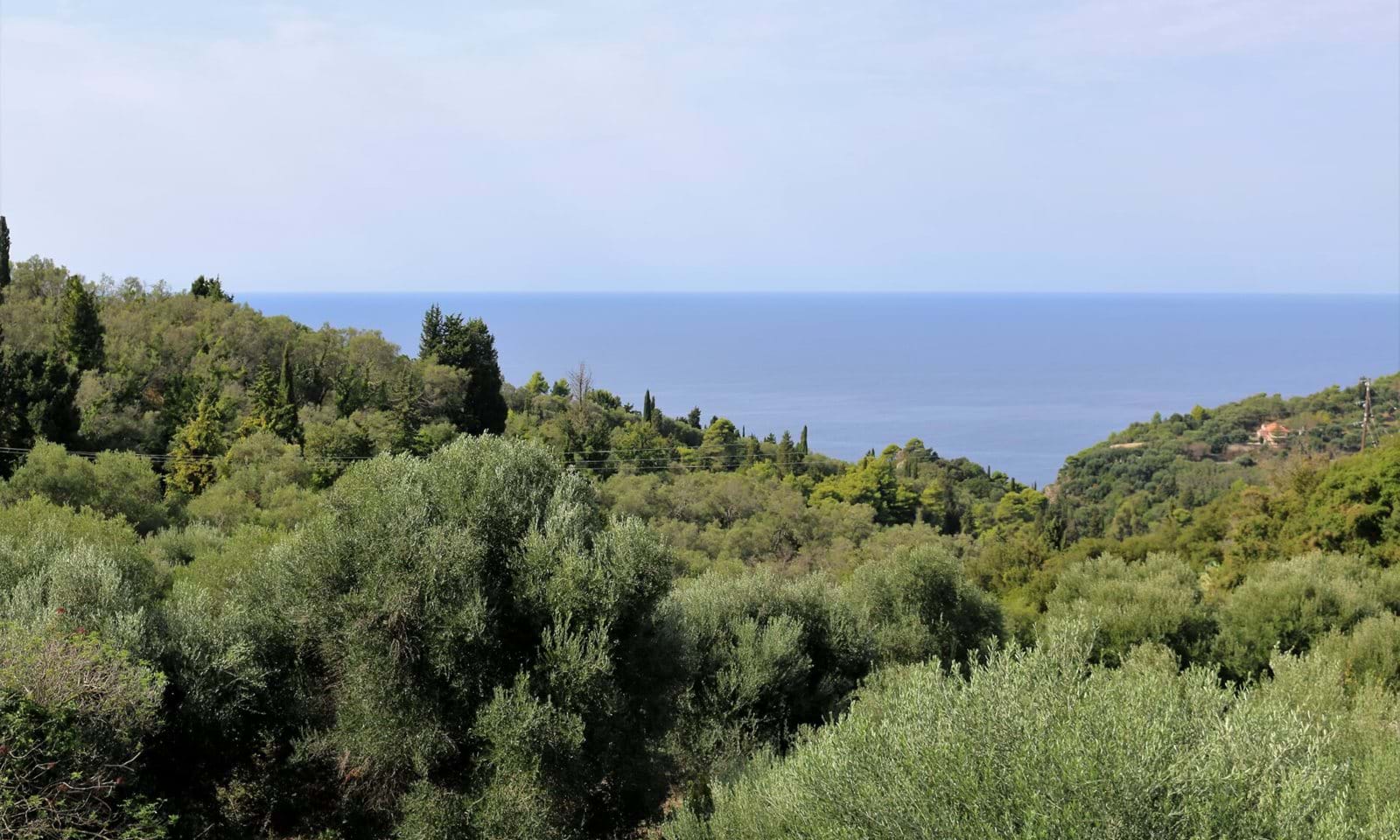 Listing photograph 3 of 15 of the commercial in Pelekas, published by Corfu Home Finders.