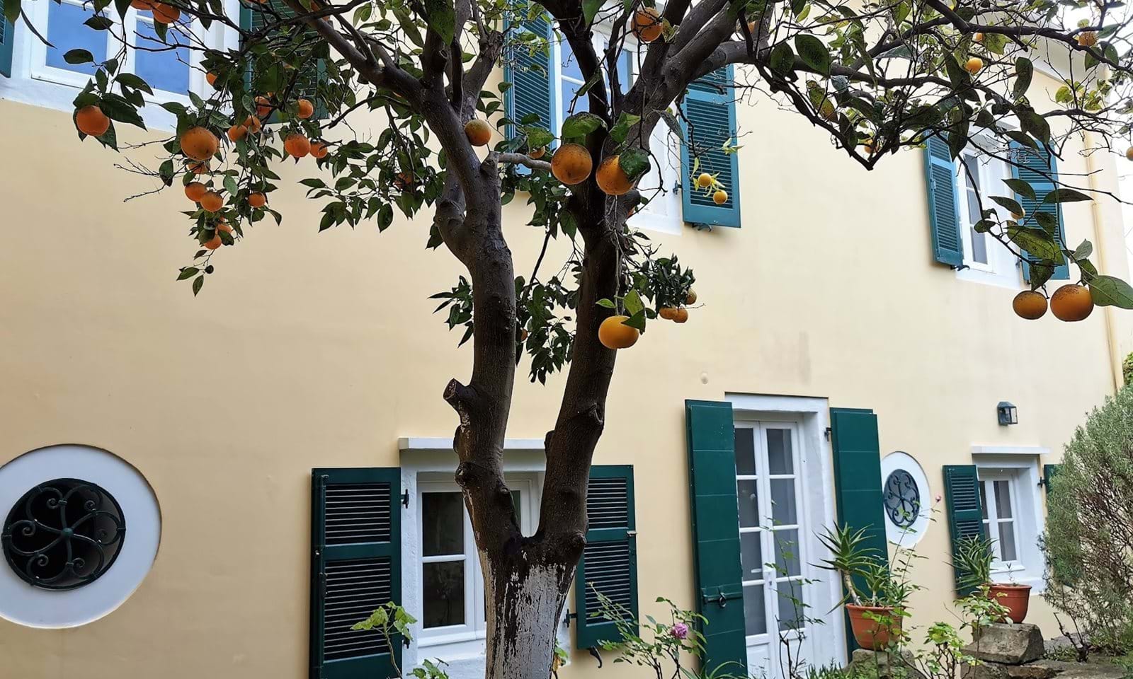 Listing photograph 6 of 30 of the house in Karousades, published by Corfu Home Finders.