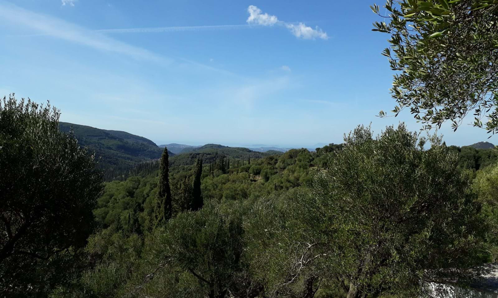 Listing photograph 2 of 5 of the land in Spartilas, published by Corfu Home Finders.