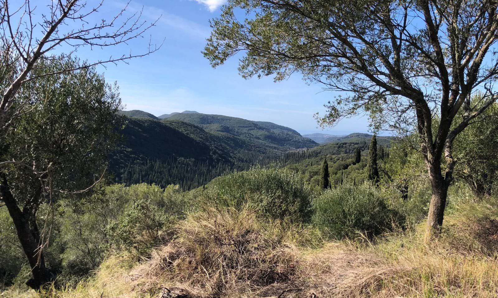 Listing photograph 5 of 5 of the land in Spartilas, published by Corfu Home Finders.