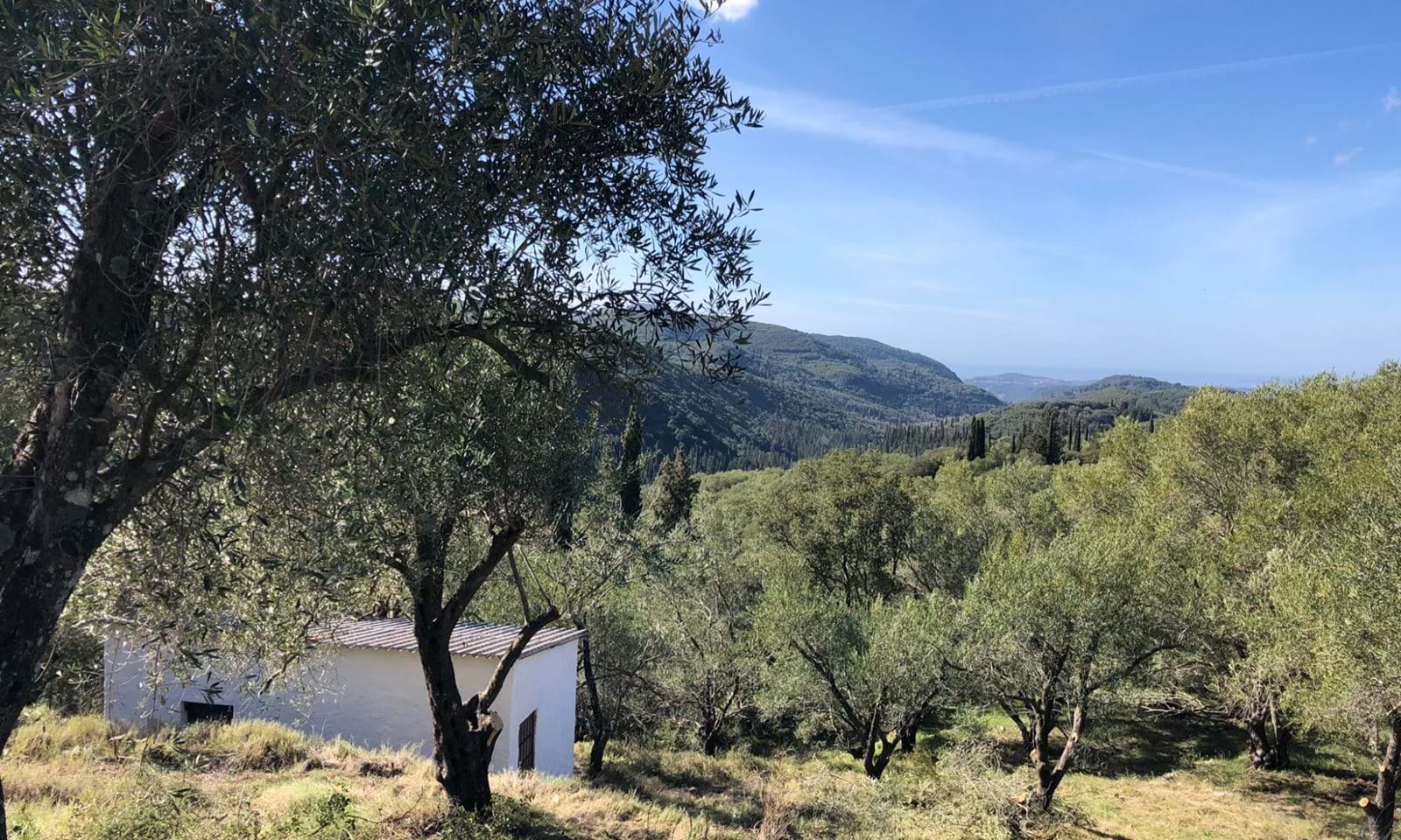 Listing photograph 1 of 5 of the land in Spartilas, published by Corfu Home Finders.