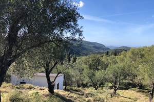 SOULI LAND, Spartilas, Corfu