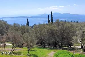VOUNI LAND, Spartilas, Corfu