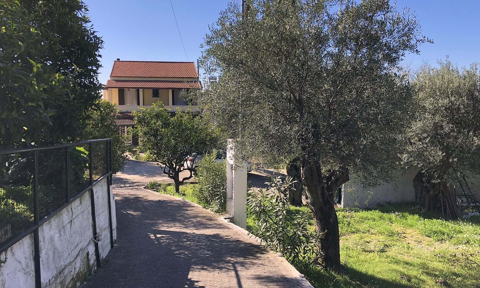 Listing photograph 4 of 18 of the house in Spartilas, published by Corfu Home Finders.