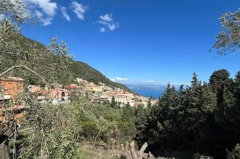Image for property: 16719