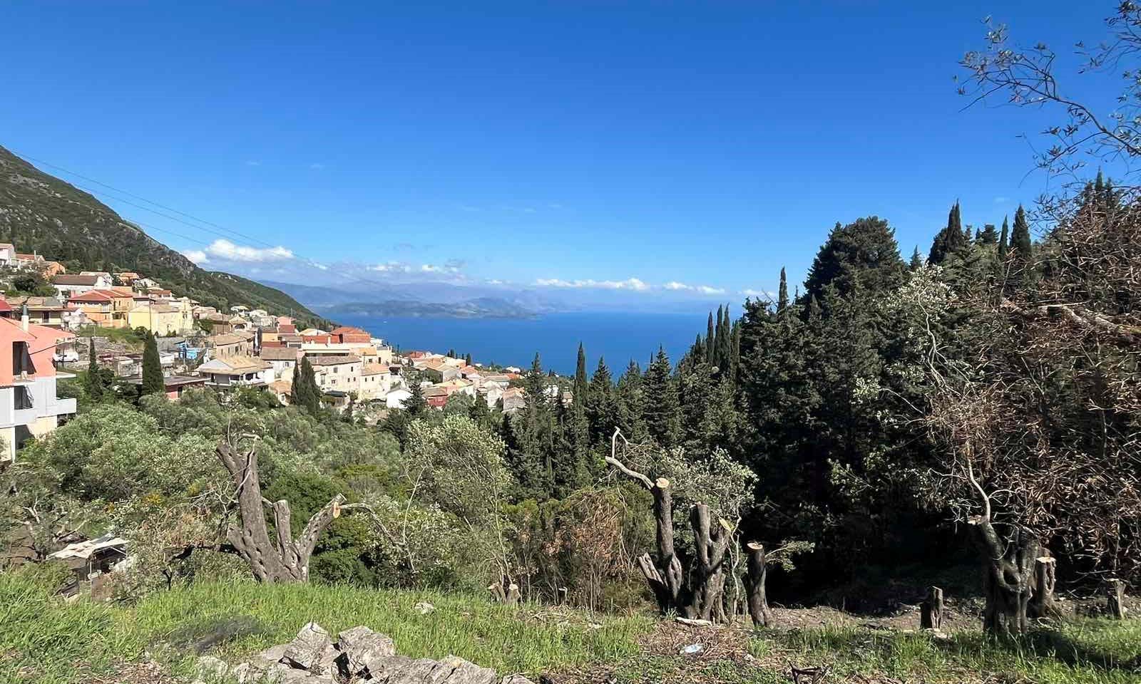 Listing photograph 3 of 6 of the land in Spartilas, published by Corfu Home Finders.