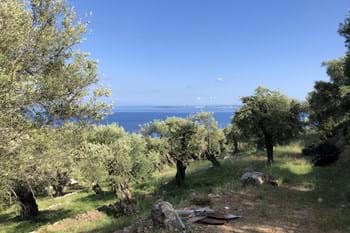 Image for property: 16723