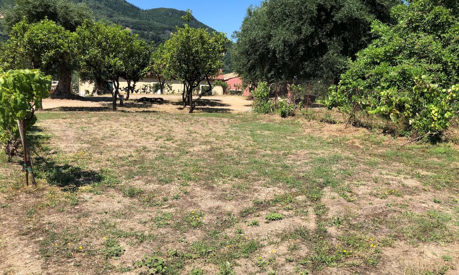 Listing photograph 3 of 5 of the land in Gastouri, published by Corfu Home Finders.