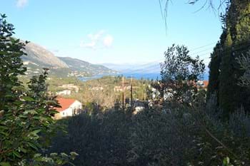 Image for property: 17825