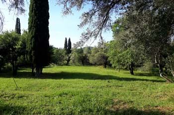 Image for property: 17846