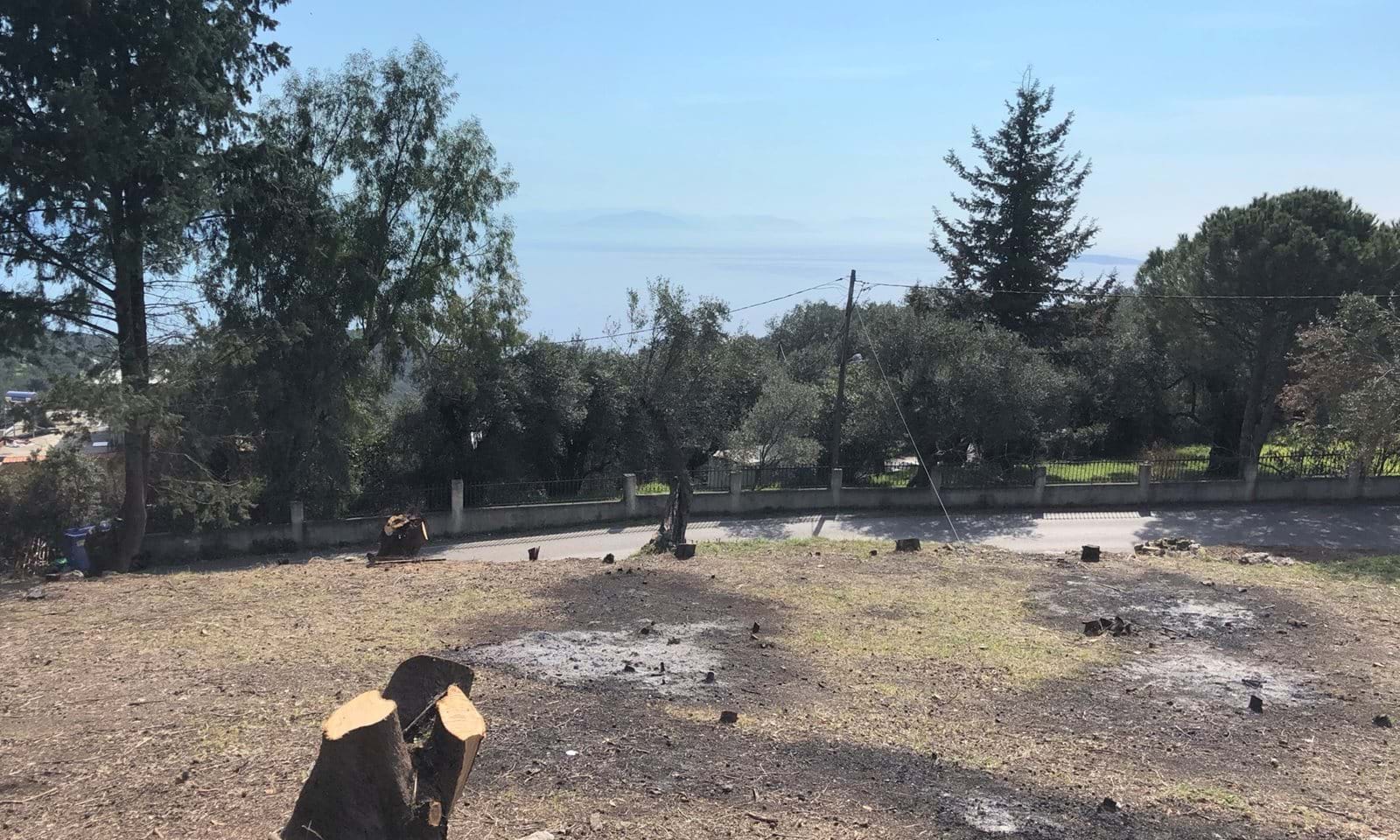 Listing photograph 4 of 6 of the land in Spartilas, published by Corfu Home Finders.