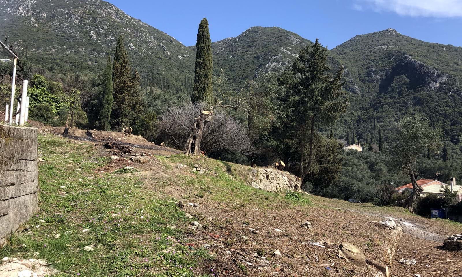 Listing photograph 2 of 6 of the land in Spartilas, published by Corfu Home Finders.