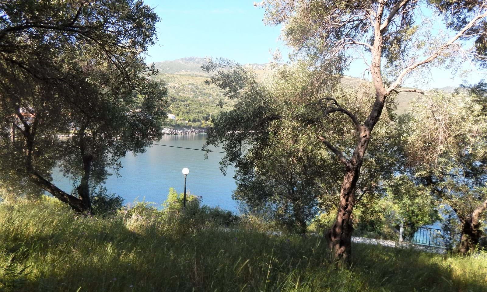 Listing photograph 6 of 7 of the land in Kassiopi, published by Corfu Home Finders.