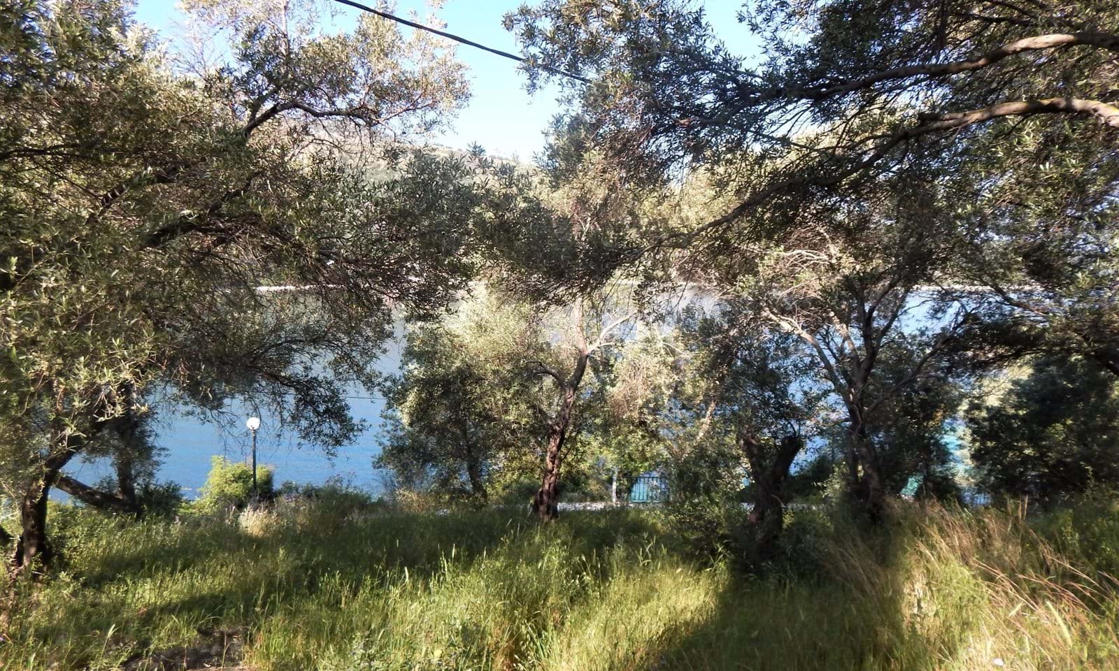 Listing photograph 5 of 7 of the land in Kassiopi, published by Corfu Home Finders.