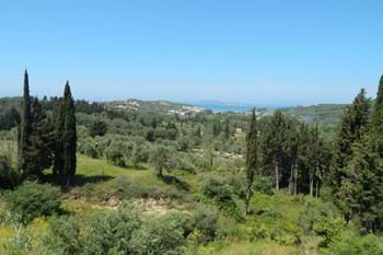 Image for property: 17872