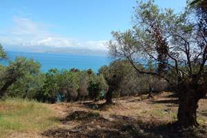 WATERFRONT LAND, Agios Spiridon 