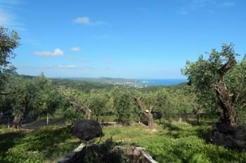 Image for property: 17876
