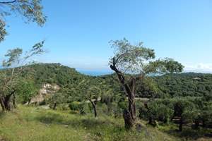 ARIS LAND, Agios Martinos, Corfu