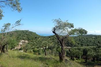 Image for property: 17877
