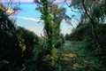 Image for property 17878