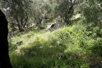 Image for property: 17902