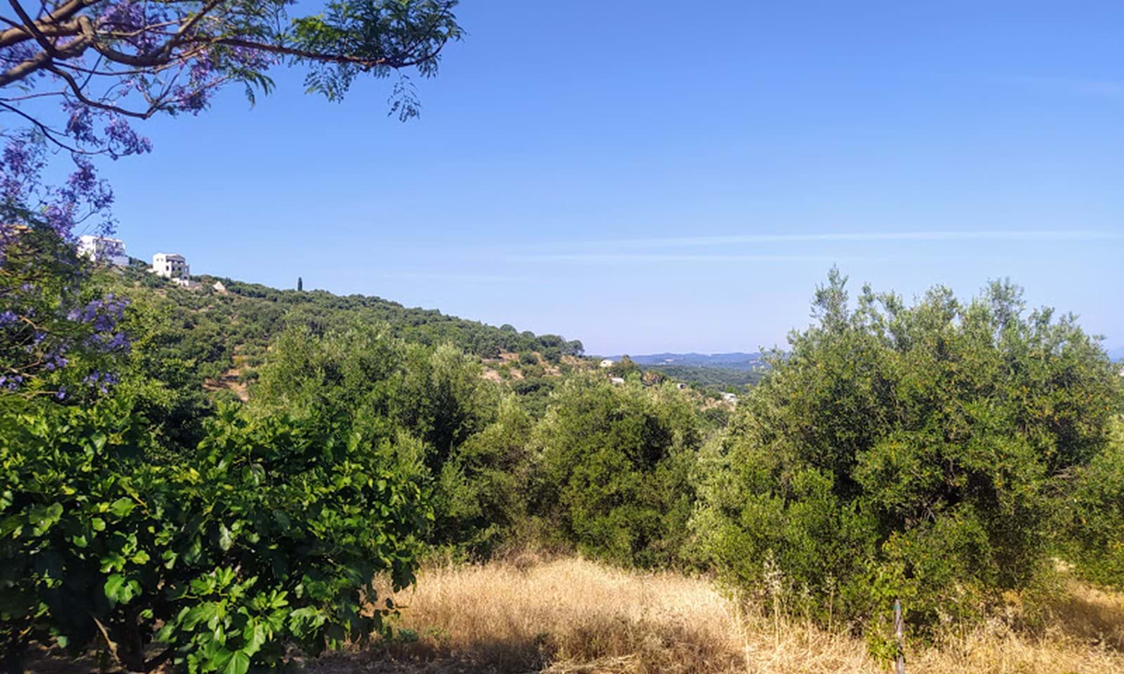 Listing photograph 5 of 7 of the land in Agios Martinos, published by Corfu Home Finders.