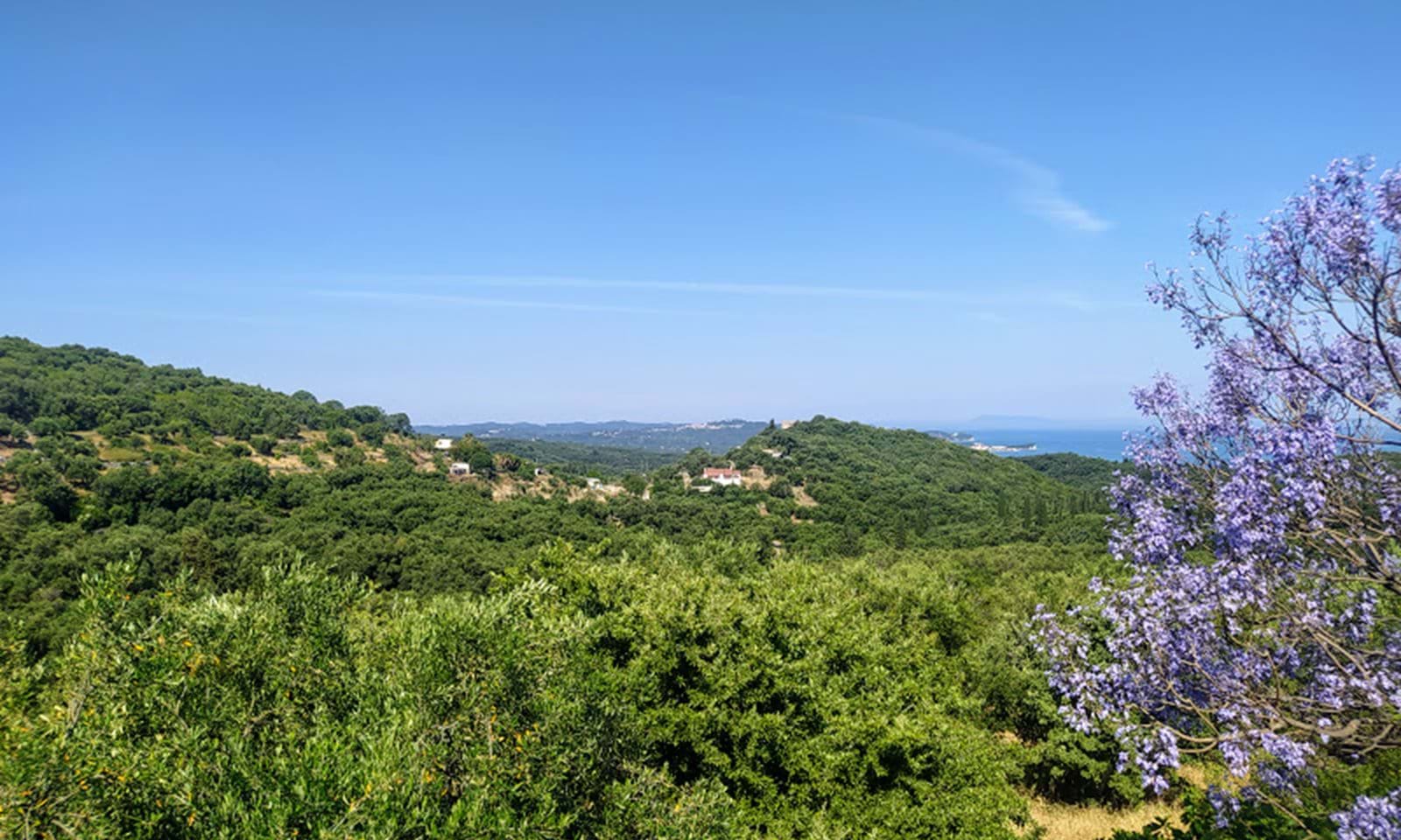 Listing photograph 1 of 7 of the land in Agios Martinos, published by Corfu Home Finders.