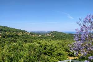 OLIVE GARDEN, Agios Martinos, Corfu