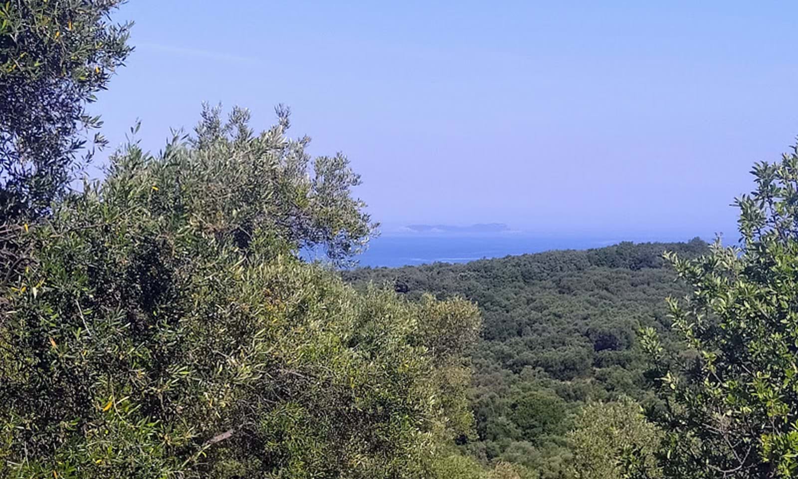 Listing photograph 3 of 7 of the land in Agios Martinos, published by Corfu Home Finders.