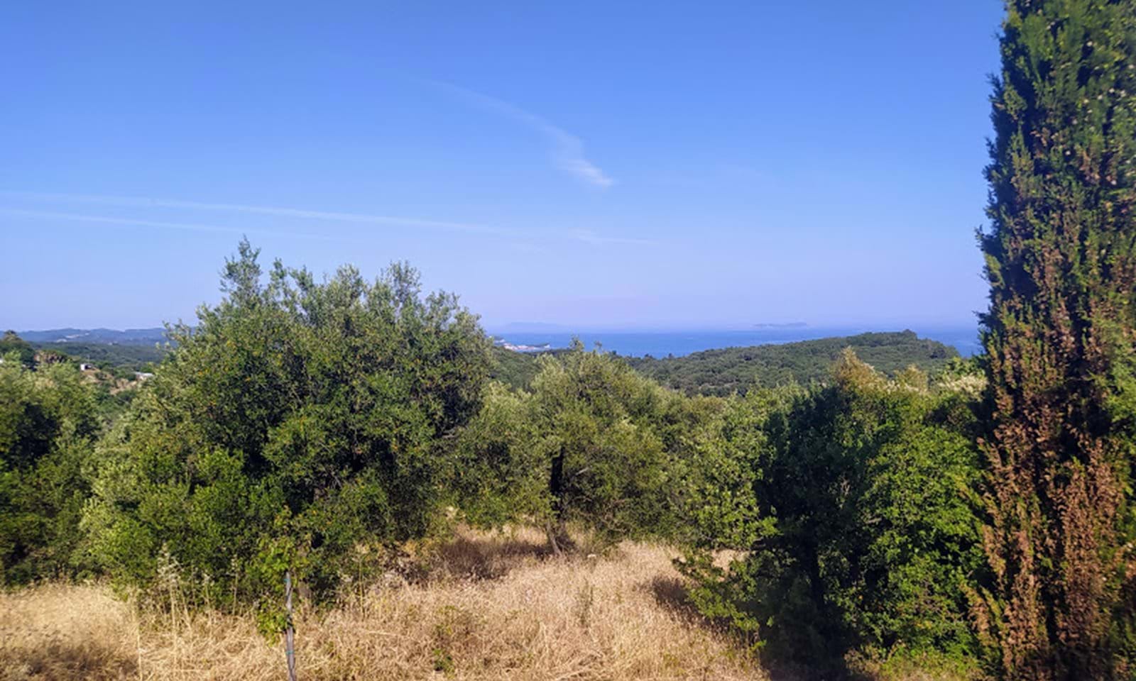 Listing photograph 4 of 7 of the land in Agios Martinos, published by Corfu Home Finders.