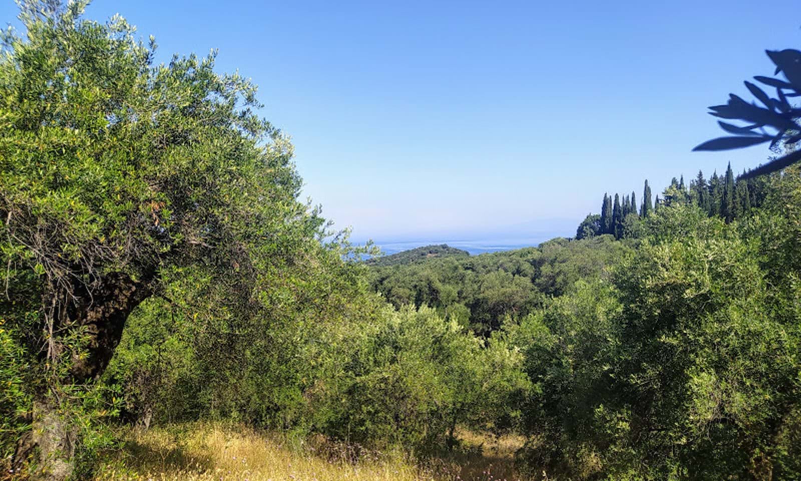Listing photograph 2 of 7 of the land in Agios Martinos, published by Corfu Home Finders.