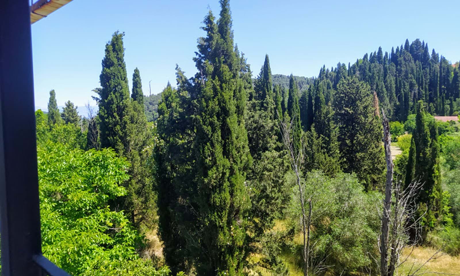 Listing photograph 9 of 11 of the house in Kavadades, published by Corfu Home Finders.