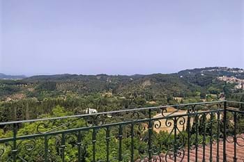 Image for property: 17923