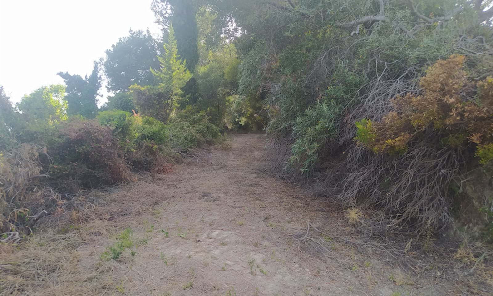 Listing photograph 3 of 7 of the land in Arilas, published by Corfu Home Finders.
