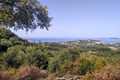 Sea Views
