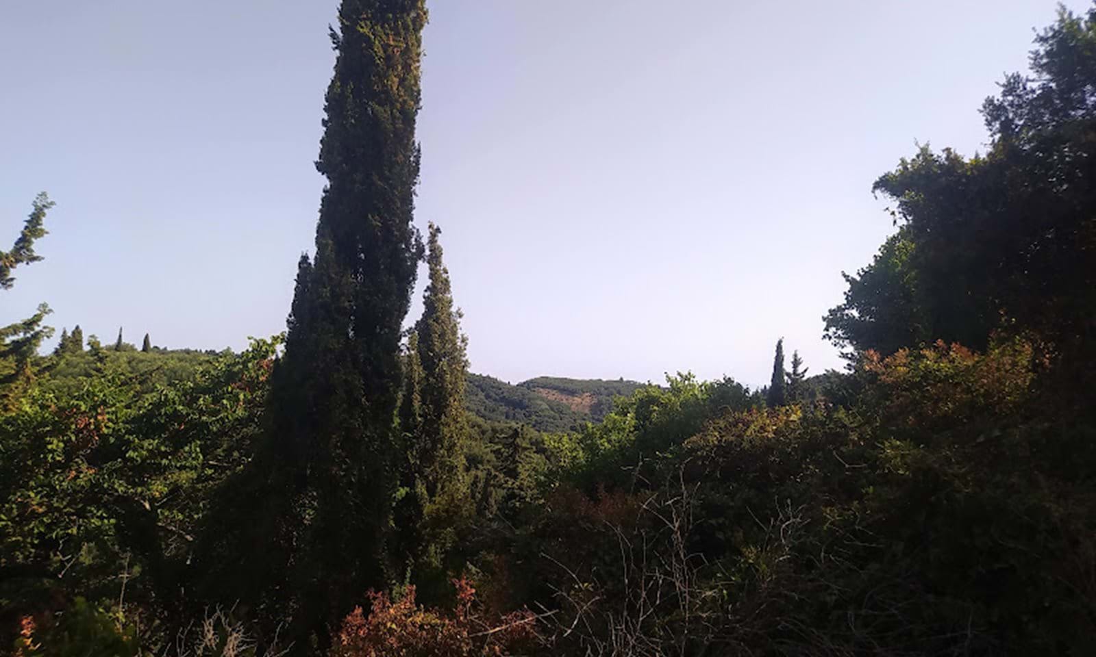 Listing photograph 4 of 7 of the land in Arilas, published by Corfu Home Finders.